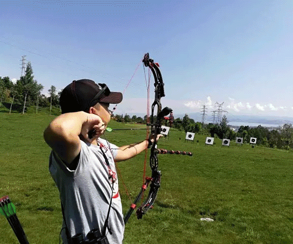 世界聚焦!滚球预测赛事全球收视创新高 世界聚焦!滚球预测赛事全球收视创新高