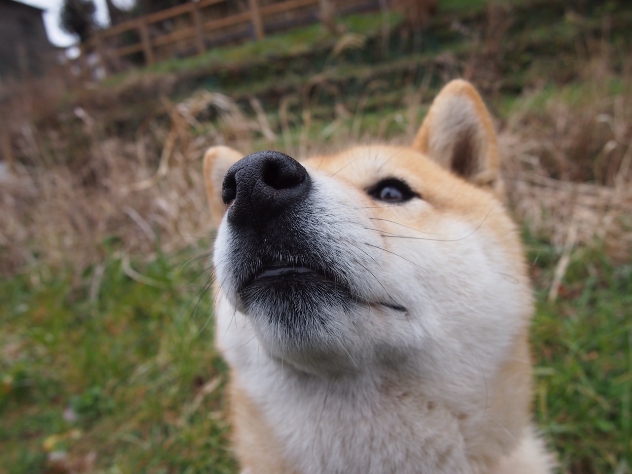 开云sport-莱万封神夜遭遇巴拉圭启示录，足球没有唯一真理