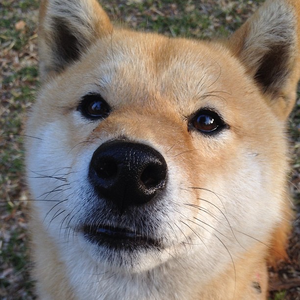 轰塌老鹰防线的不仅是恩比德!末节14分救赎,霍勒迪用硬仗打破所有质疑