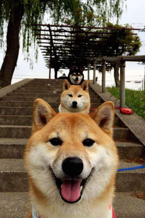 石油资本与亚洲铁闸的欧冠交响，卡塔尔一波流带走拉齐奥，金玟哉化身关键先生