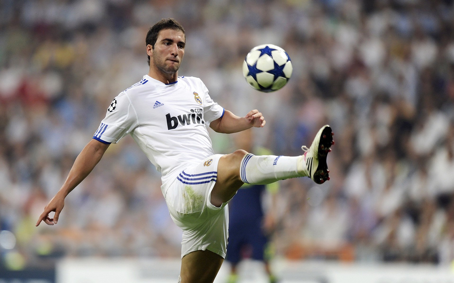 魔术枷锁下的唯一钥匙，当欧文解开广东的华丽封印