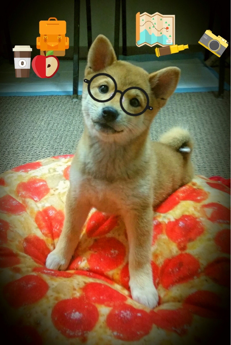 欧冠半决赛焦点战,太阳最后时刻绝杀浙江队,晋级在望