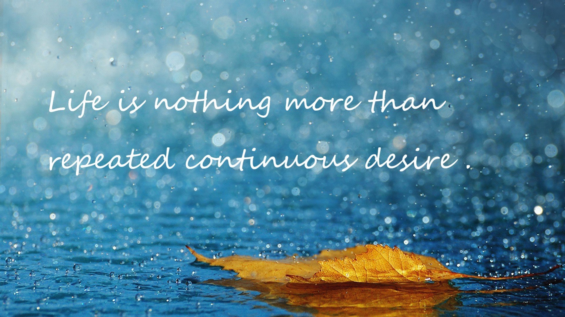 开云体育APP下载-休斯顿狂想曲，杰伦格林爆发交响夜，火箭铁壁防守冰封北京队