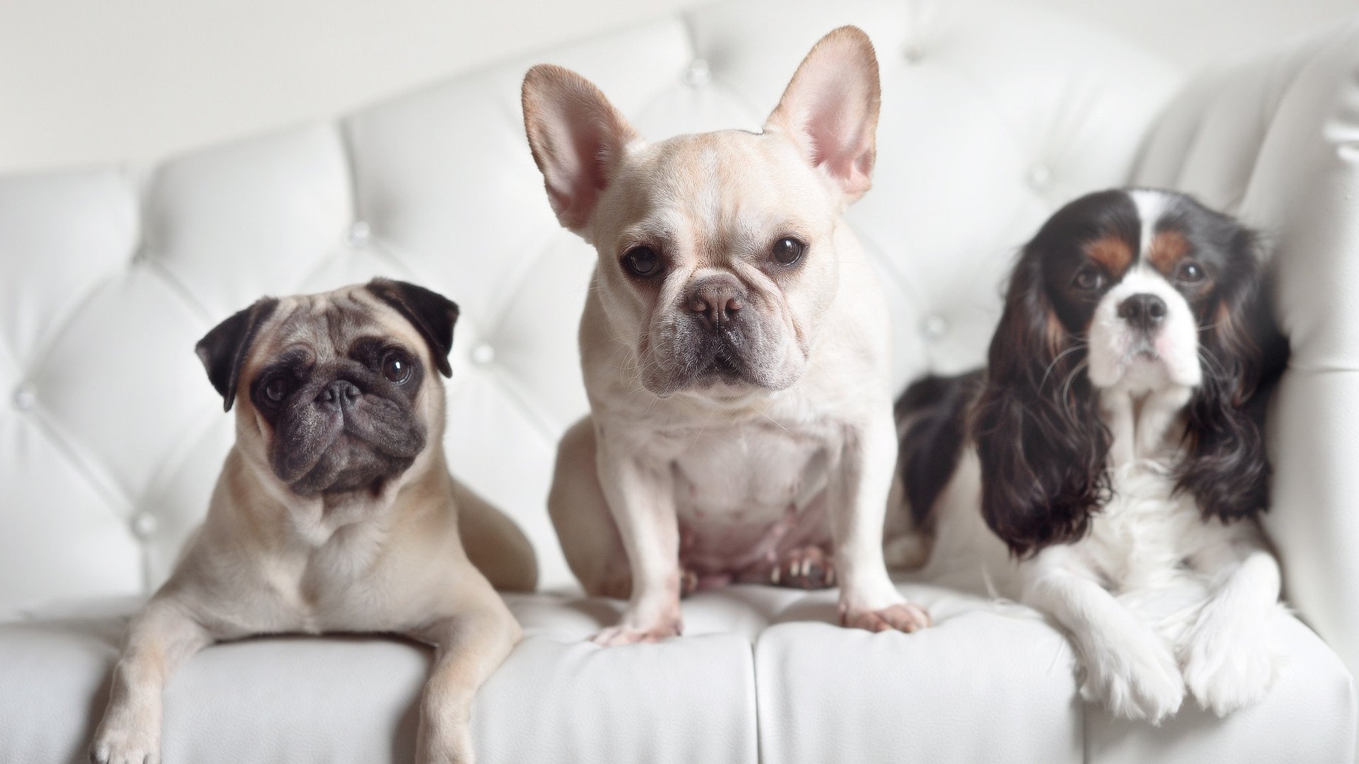 开云体育app-班凯罗55+大三双神迹！篮网狂胜新疆39分，美式篮球旋风席卷天山