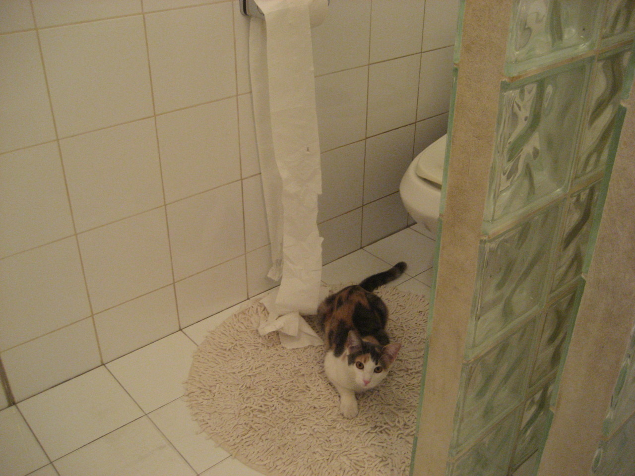 开云体育中国-破壁者之战，当勇士鏖战广厦，福克斯在焦点战中证明自己