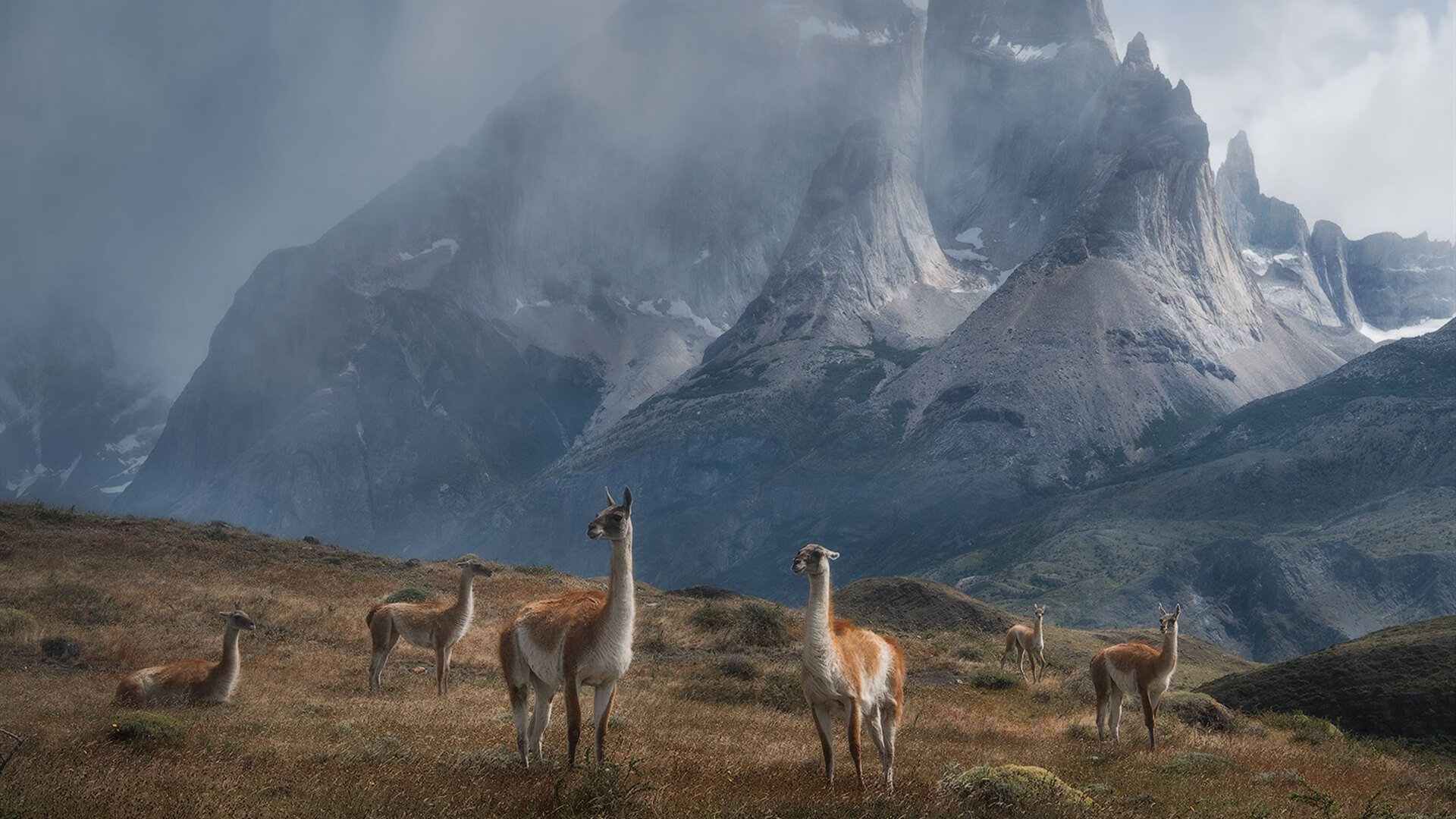 开云体育app-国王血拼猛龙，布克如何成为改变战局的关键先生