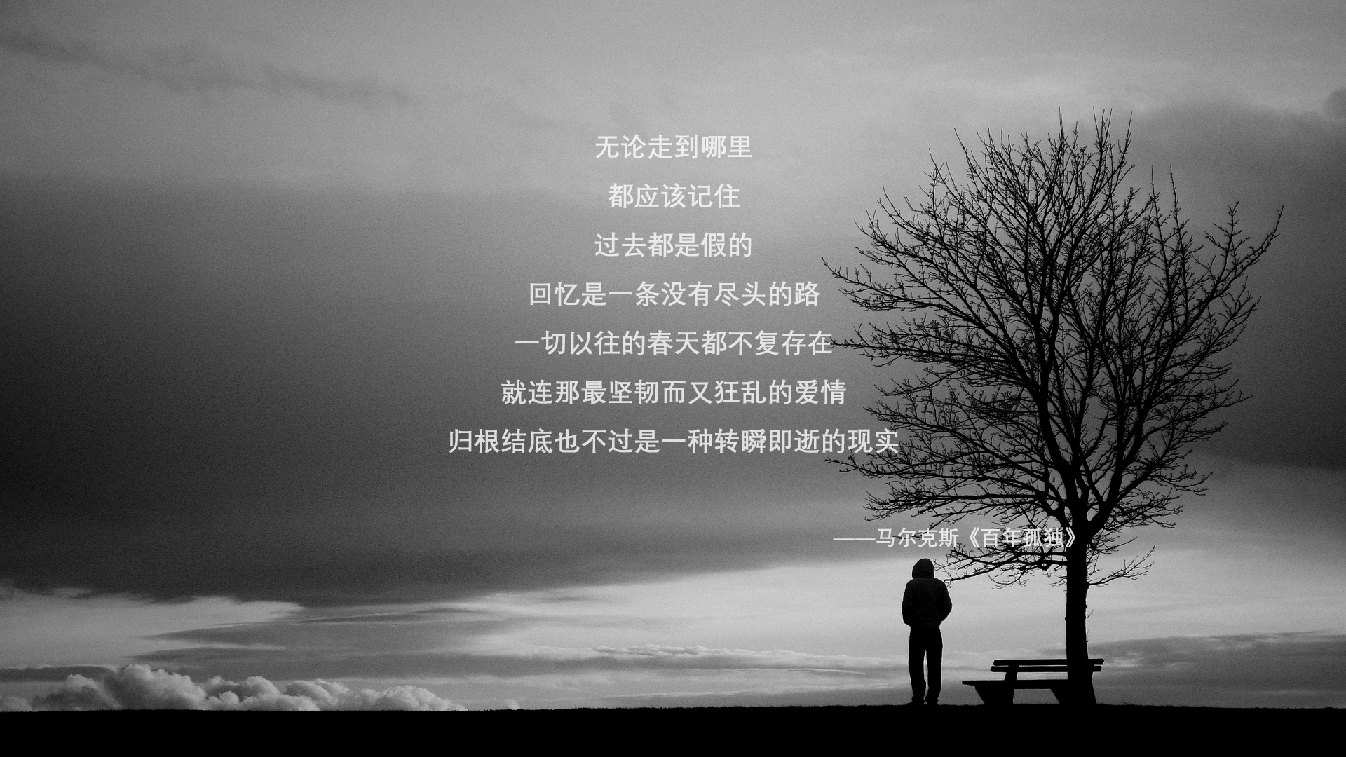 开云体育入口-唯一无解，佩德里在荷兰与德国巅峰对决中的魔法演绎