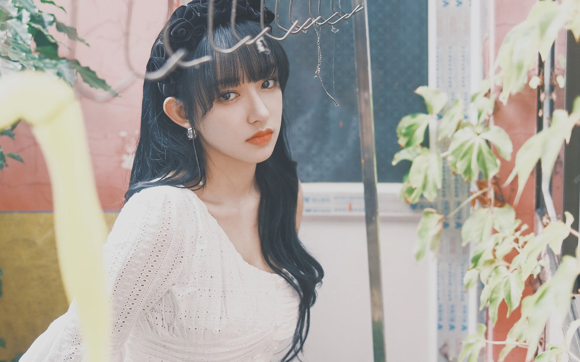 努涅斯,那刺破紫百合夜空的唯一闪电