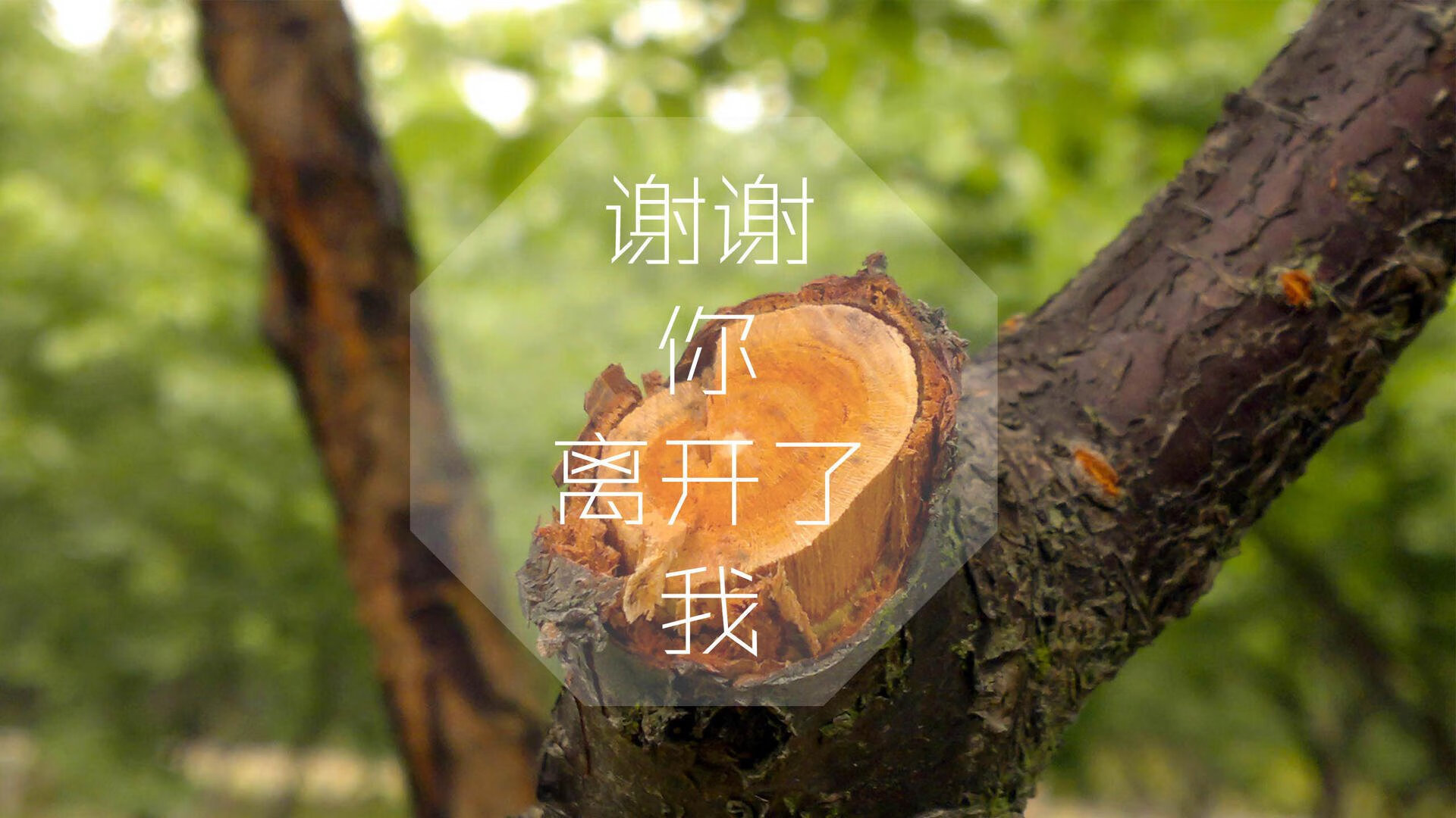 2026轮回,当法兰西铁骑遭遇海湾闪电,苏亚雷斯灵魂附体重写旧日剧本