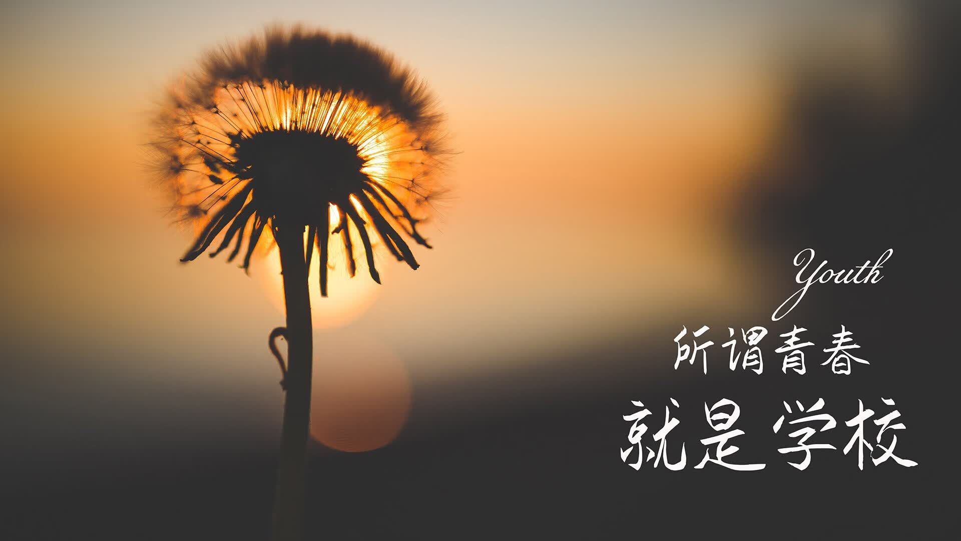 2026，桑巴的轮回，巴西碾压日本，阿诺德的致命一击与控球霸权下的宿命重演