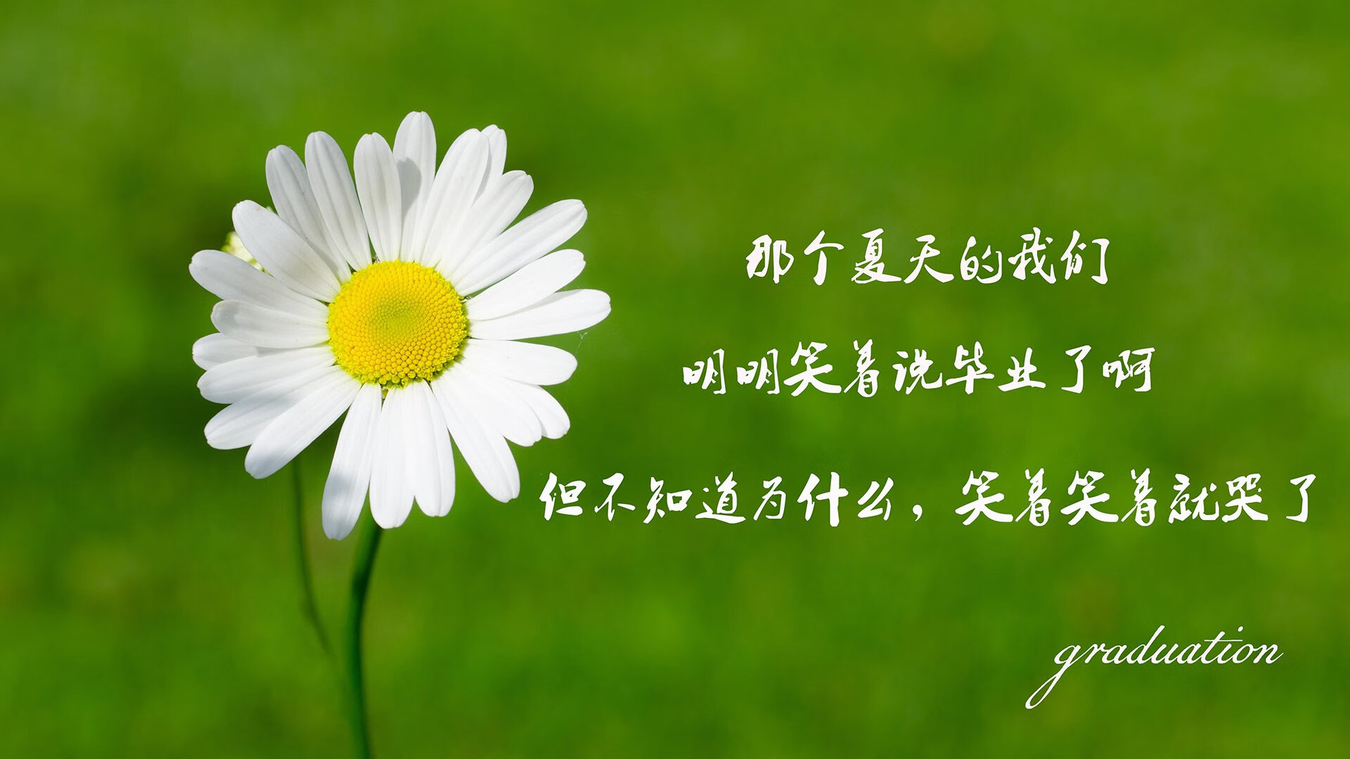 斗牛士穿心箭破局,B费独舞掀翻太极虎,2026世界杯D组暗藏最强杀机